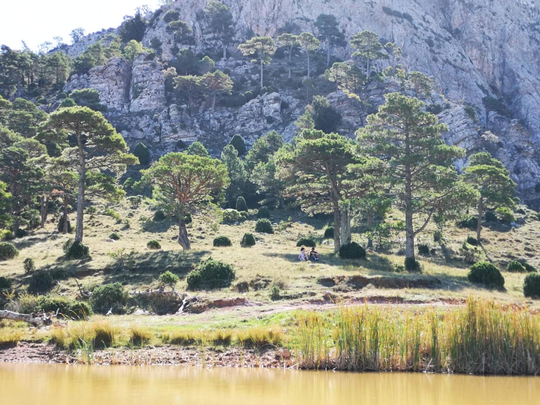 Vila L'Antic Forn De Pauels Exteriér fotografie