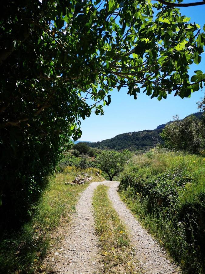 Vila L'Antic Forn De Pauels Exteriér fotografie