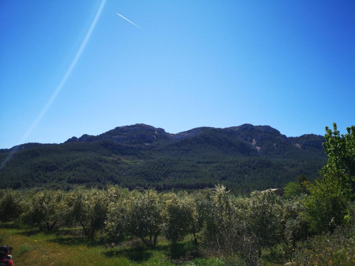 Vila L'Antic Forn De Pauels Exteriér fotografie