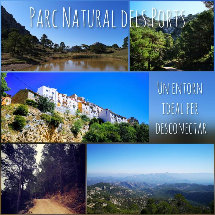Vila L'Antic Forn De Pauels Exteriér fotografie
